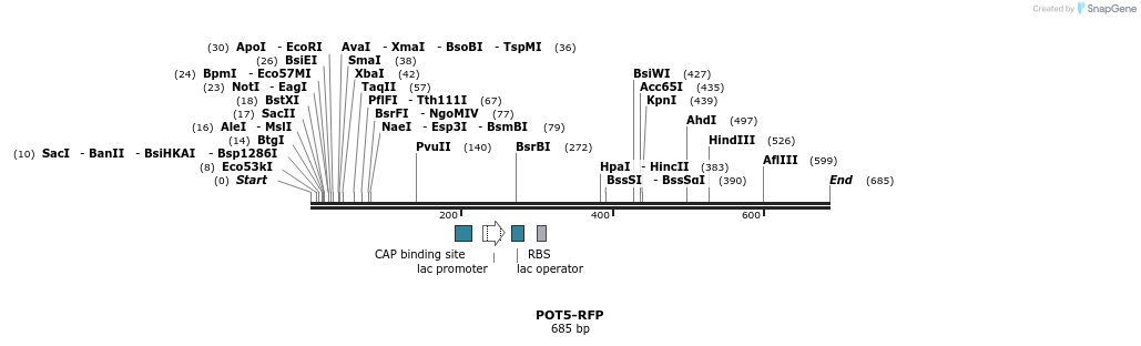 137919_map