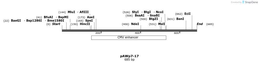 137925_map