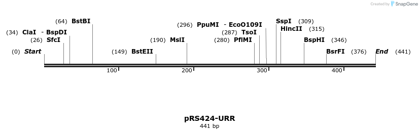 137927_map