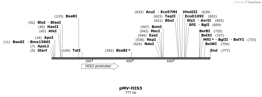 137932_map