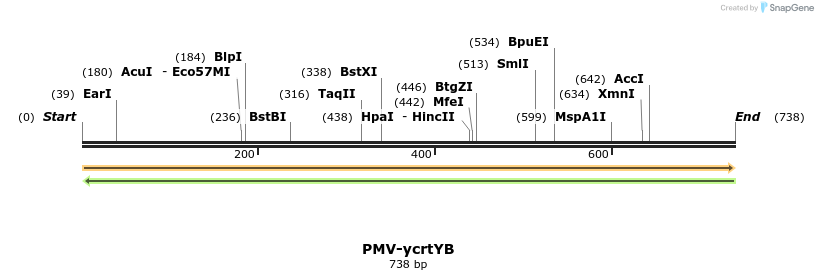 137935_map