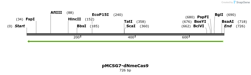 137942_map