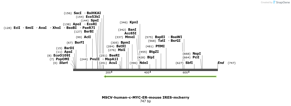 137943_map