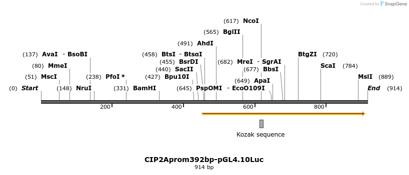 137946_map