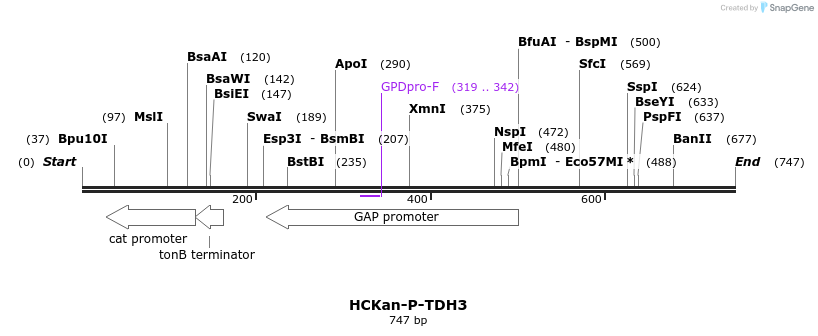 137947_map