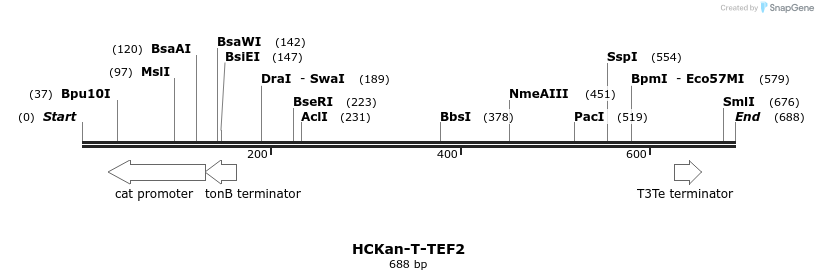 137949_map