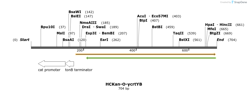 137953_map