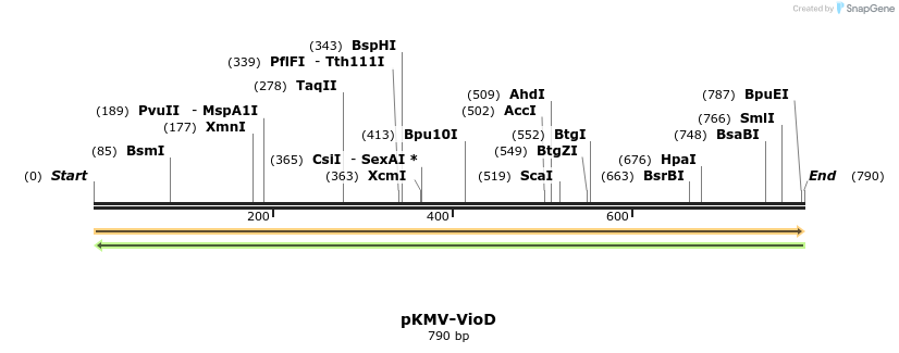137955_map