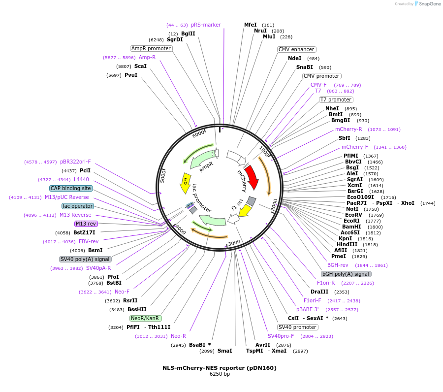 137959_map