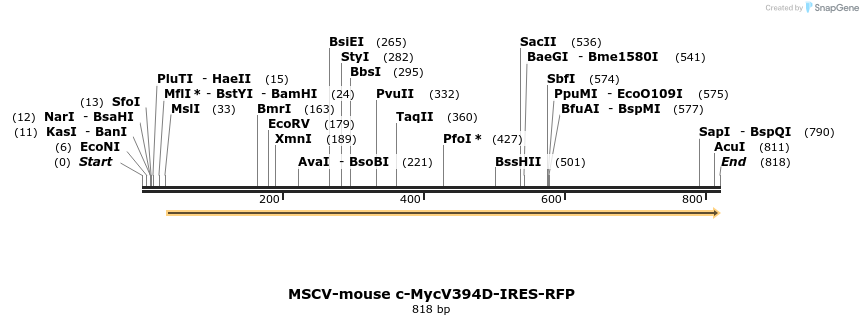 137960_map