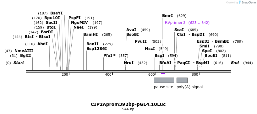 137962_map