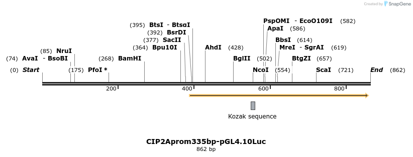 137966_map
