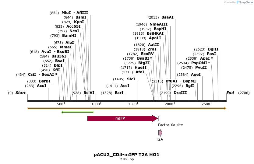 137978_map