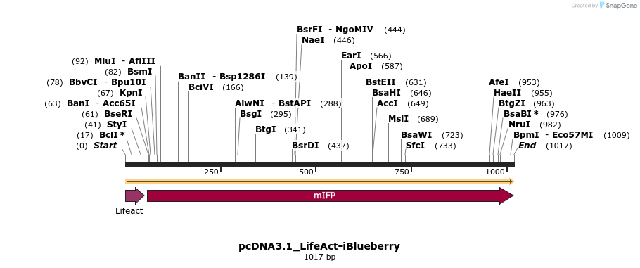 137979_map