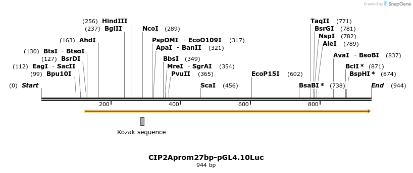 137980_map