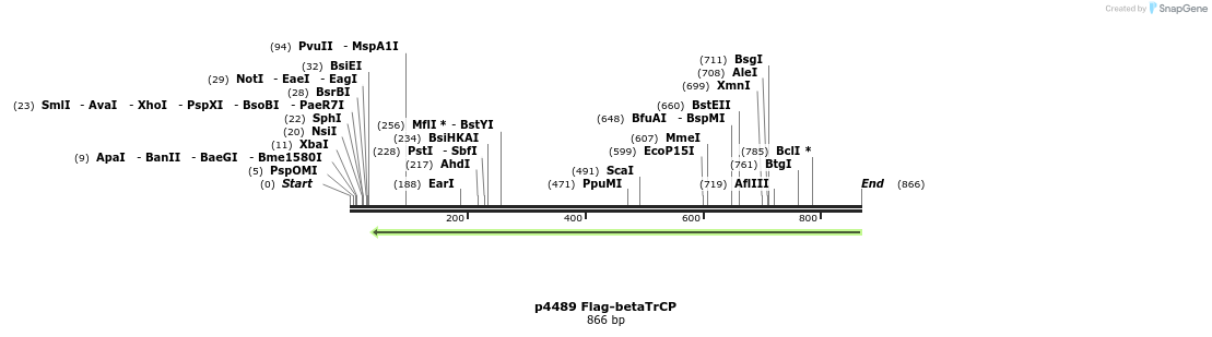 137982_map