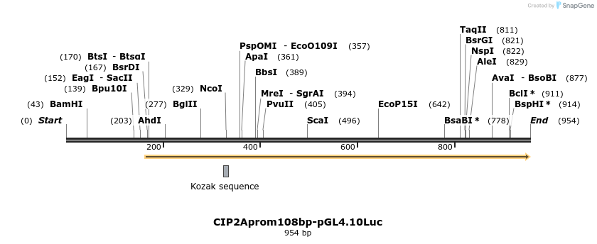 137983_map