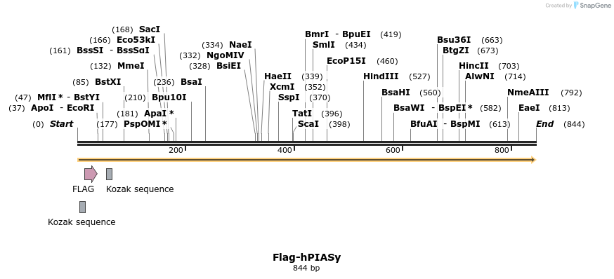 137985_map