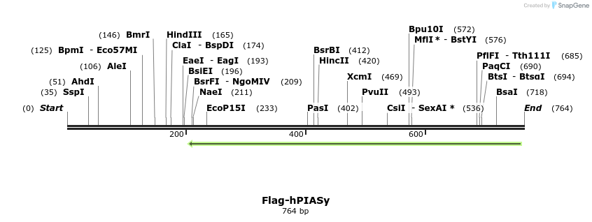137988_map
