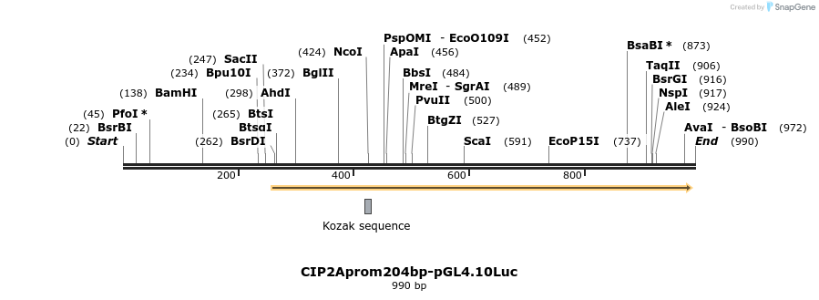 137989_map