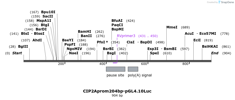 137990_map