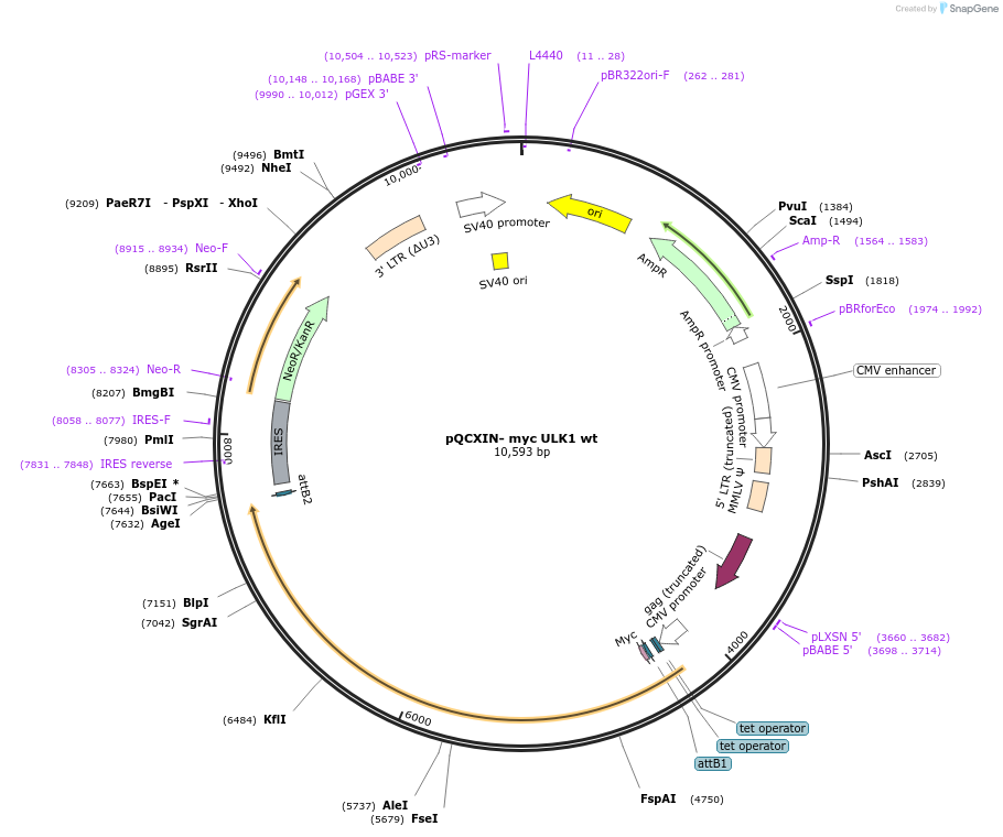 137994_map