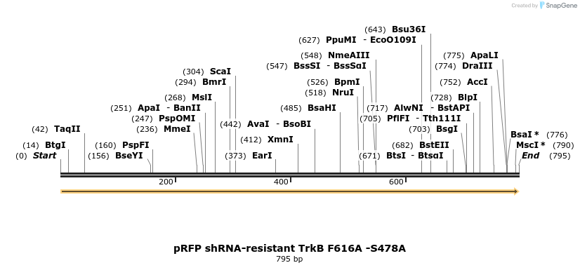 137995_map