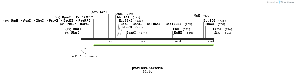 137998_map