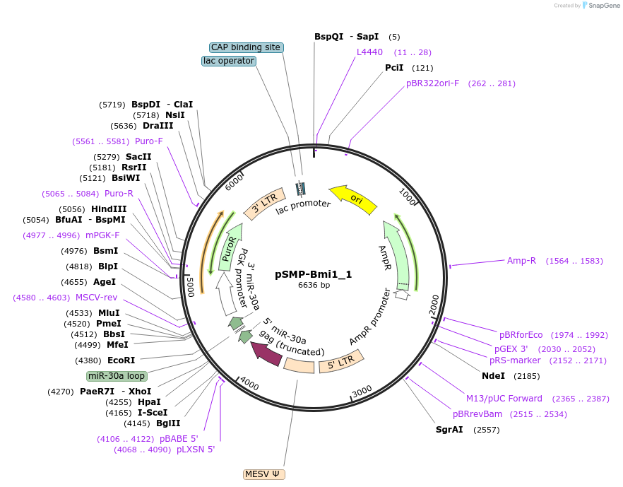 137999_map