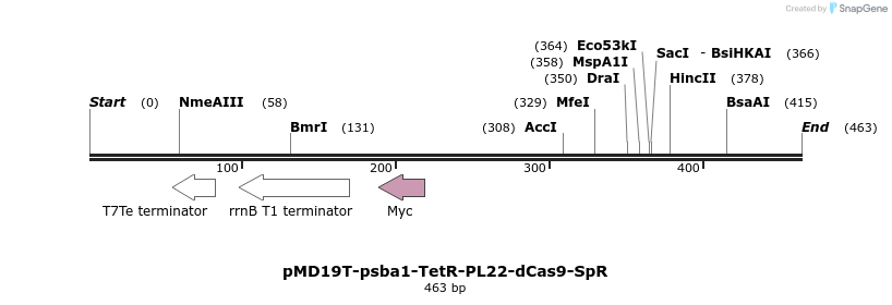 138002_map