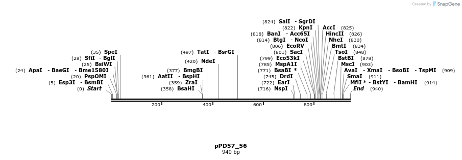 138006_map