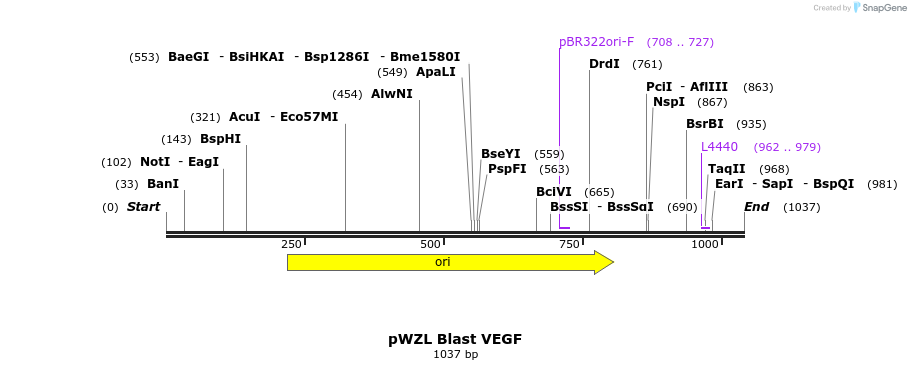 138007_map