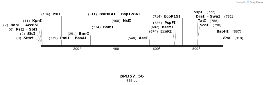 138012_map