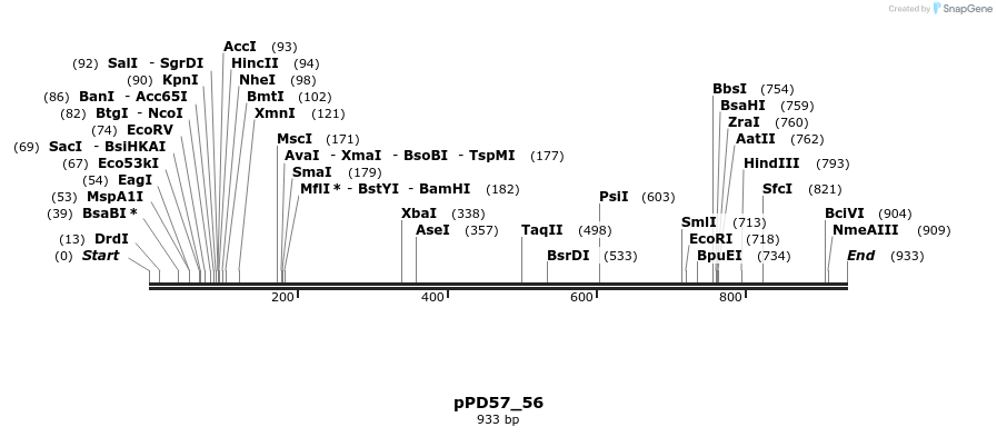 138017_map