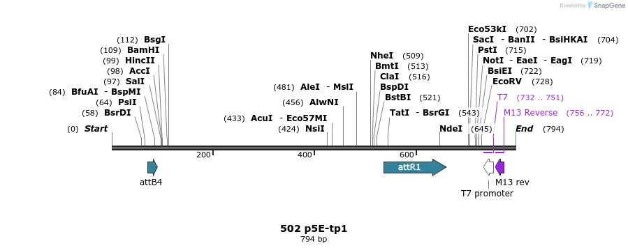 138019_map