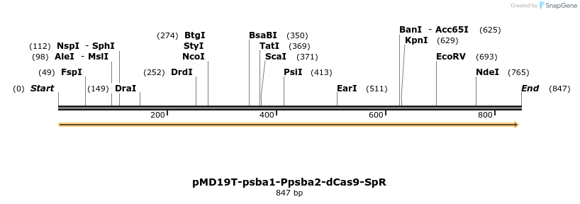 138020_map