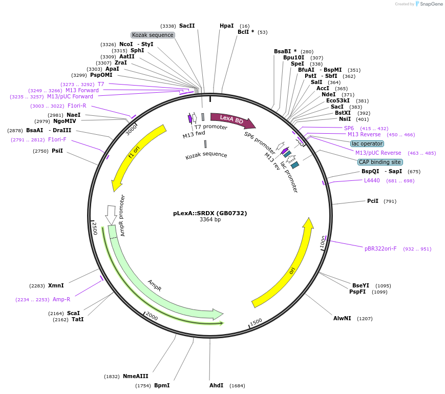 138029_map