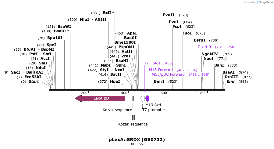 138032_map