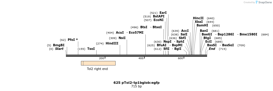 138033_map