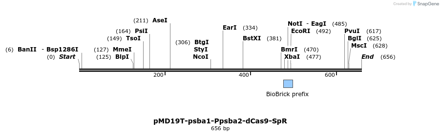 138036_map