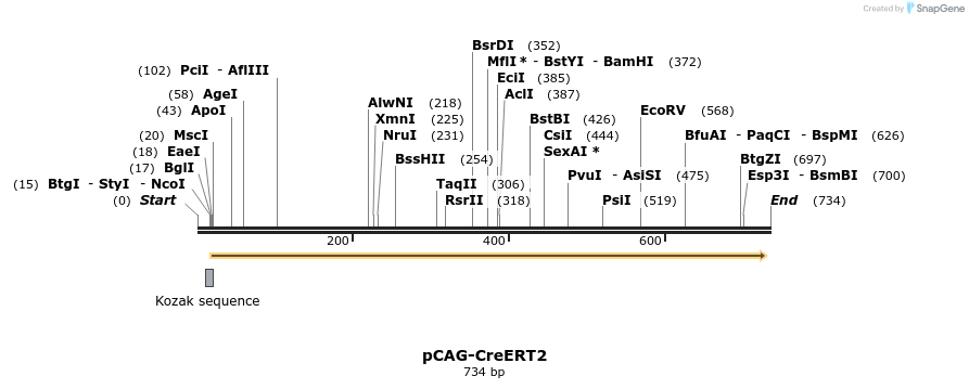 138037_map