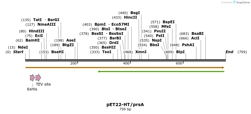 138039_map