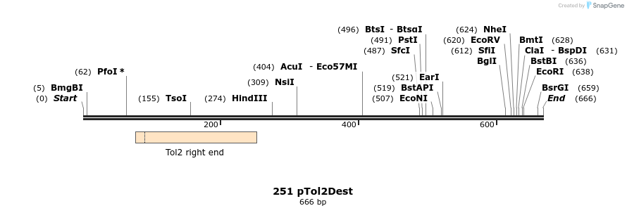 138040_map