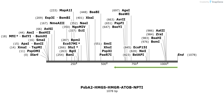 138043_map