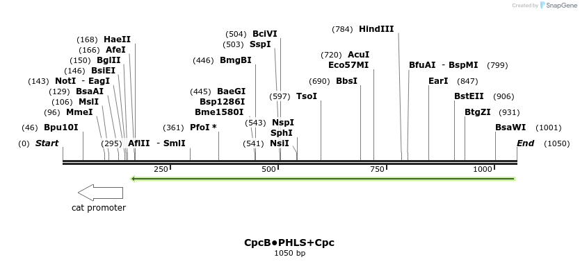 138046_map