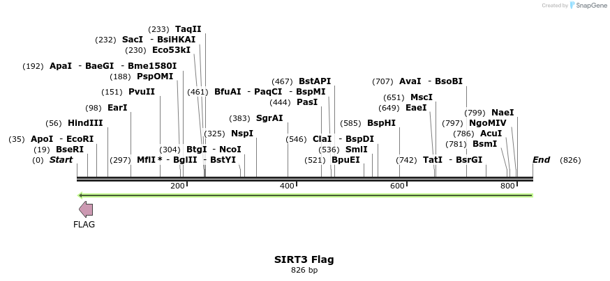 138049_map