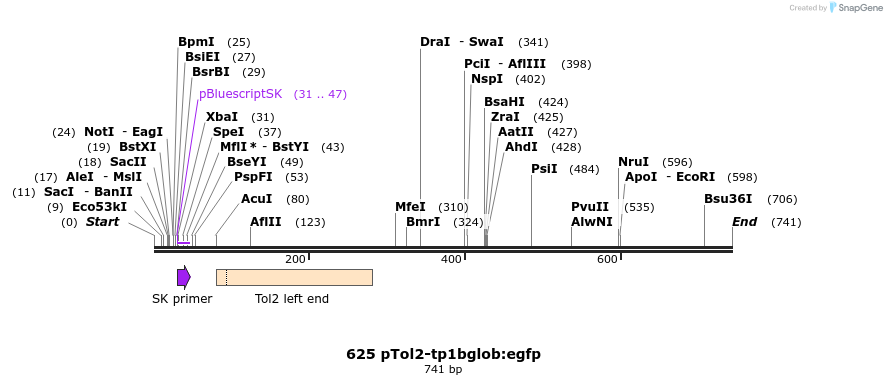 138054_map