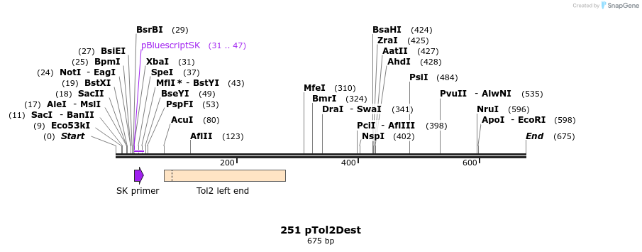 138059_map