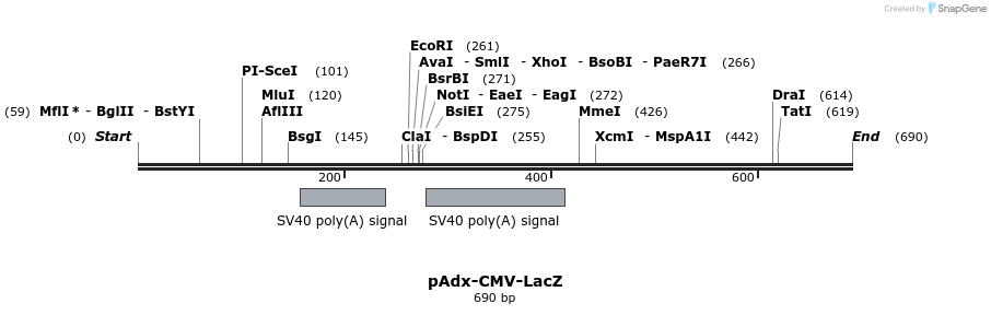 138075_map