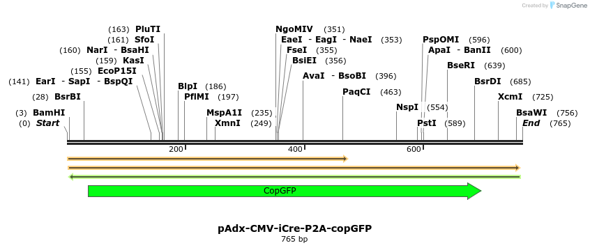 138081_map
